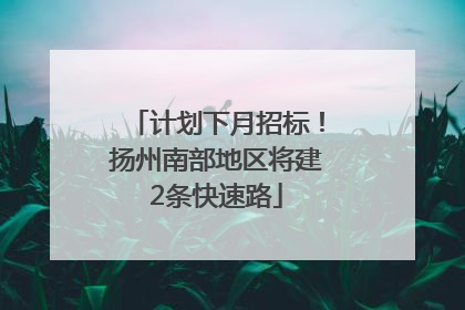 计划下月招标！扬州南部地区将建2条快速路